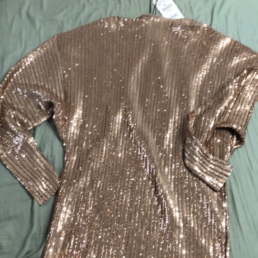 Rose gold ZARA slouchy sequin dress